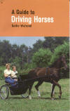 Guide-driving-horses
