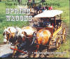 Spring-wagons