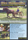 Teaching-horses